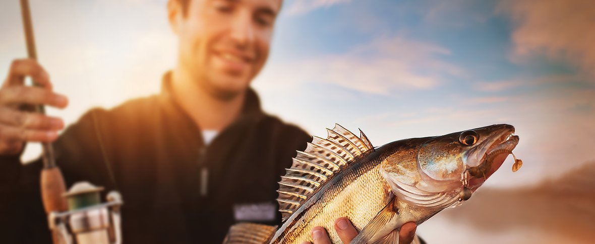 Top 6 melhores rios para os amantes da pesca esportiva Top 6 melhores rios para os amantes da pesca esportiva